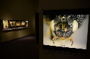 Wasp_exhibition__DSC3489